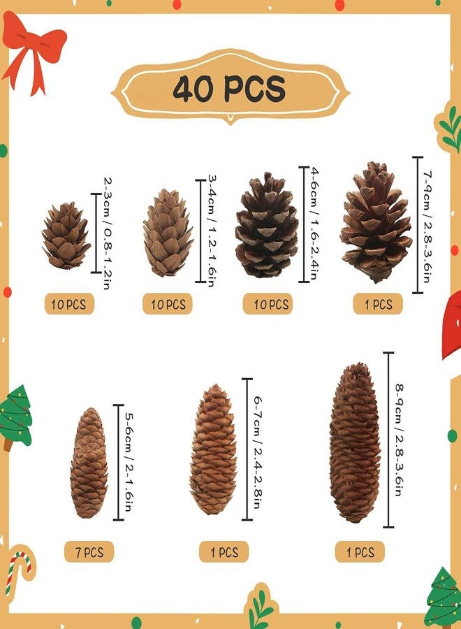 Jangostor 40 PCS Rustic Pine Cone Decorations - Large, Medium and Mini Sizes for Table, Tree and Home Decor - Image 3